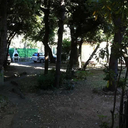 Giardino Sud - A Pochi Passi Dal Mare *