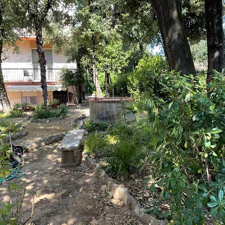 Giardino Sud - A Pochi Passi Dal Mare